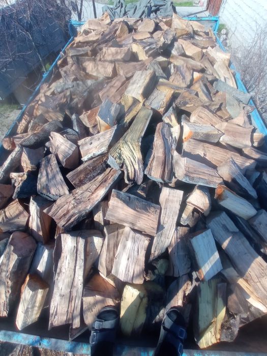 O’tin дрова сухой утин.