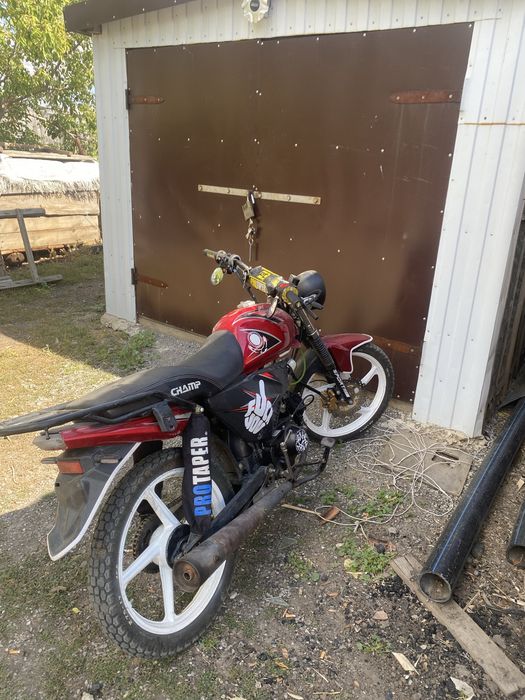 Альфа Champ 125cc 2023 года