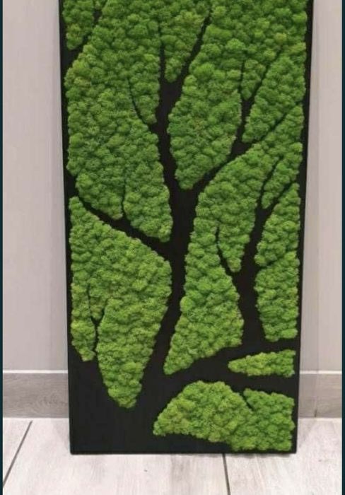 Decoratiuni cu muschi, licheni si plante stabilizate / Pereti verzi