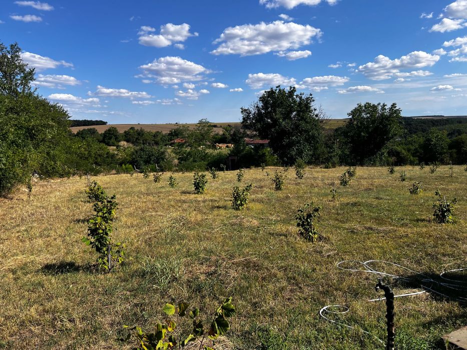 Продава се Парцел в с. Голям Поровец, Област Разград - 2631 кв.м за 10 €/кв.м - Снимка #5