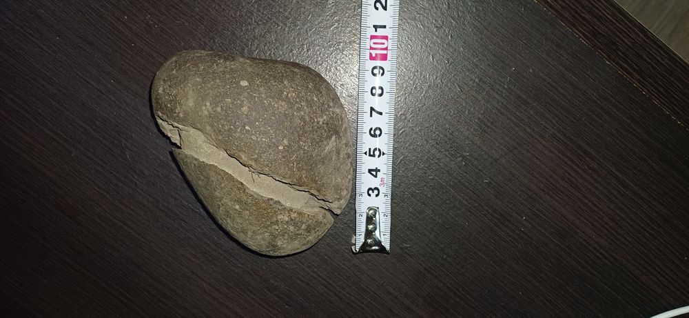 Окаменелое яйцо Динозавра