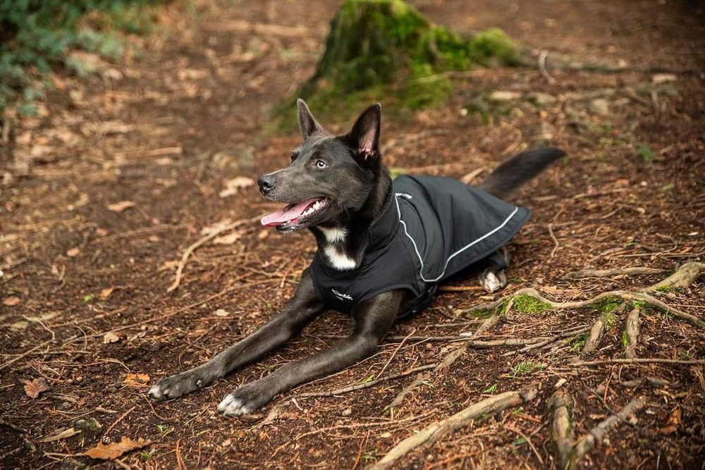 Дъждобран за кучета Mountain Paws, водоустойчив ветроустойчив,размер М