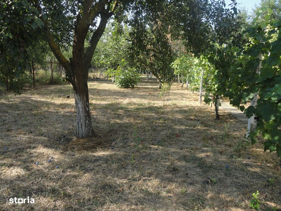 Casa solida din caramida 5 camere, teren 1278 mp Micalaca strada larga