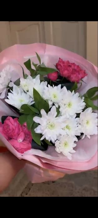 Белый хризантема Цветы свежие