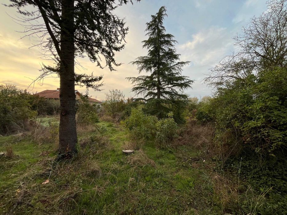 Продава монолитна къща в село Търничени