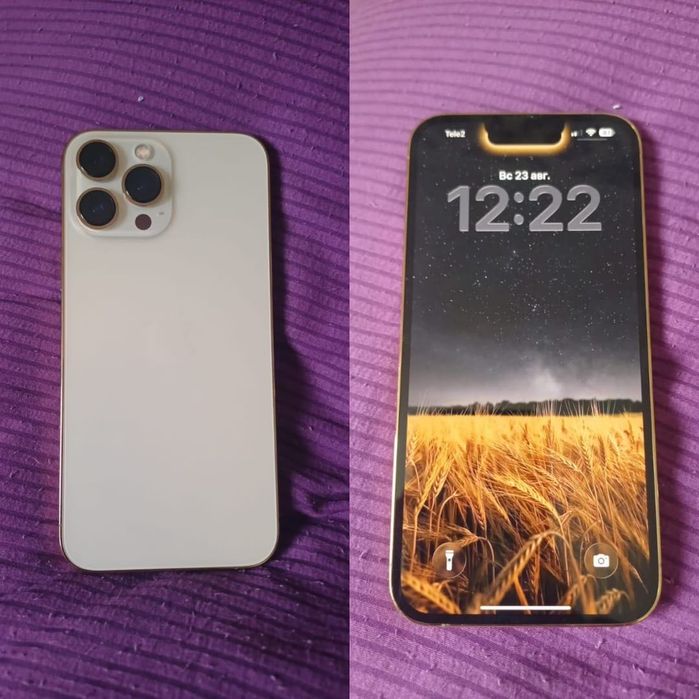 iPhone 13 Pro Max