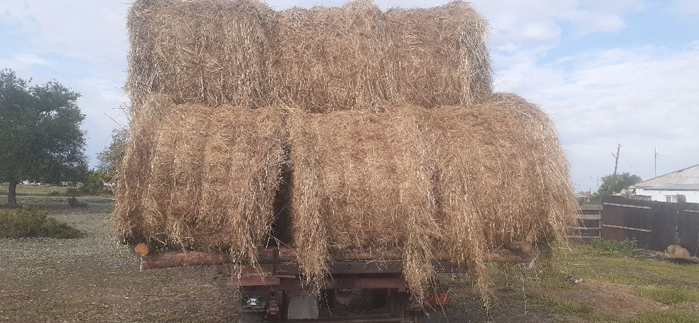 Продам прицеп 2 птс4