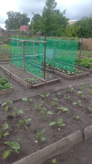 Продам дачу в обществе водопроводчик