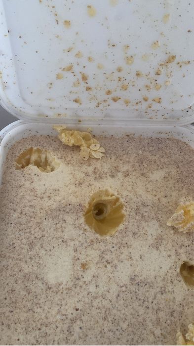 Мед натуральный с Республики Алтай