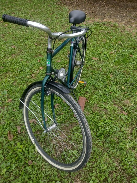 Biciclete Giant si Staiger