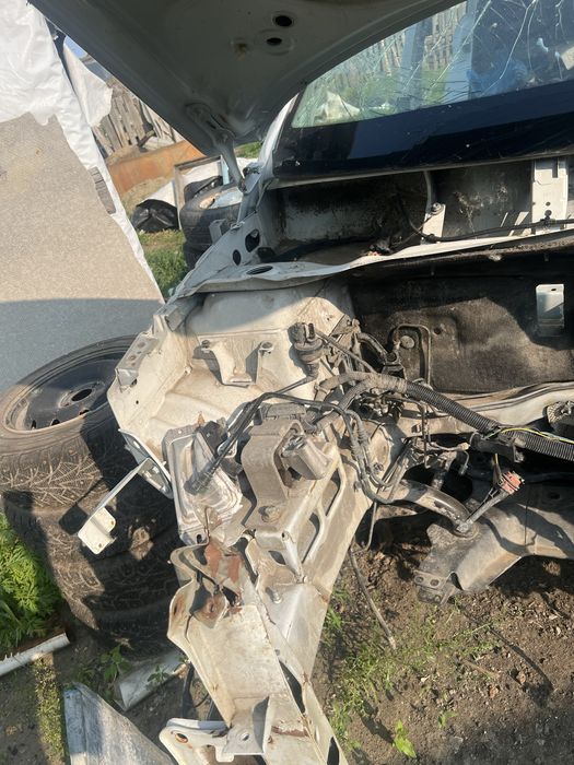 Веста на разборе