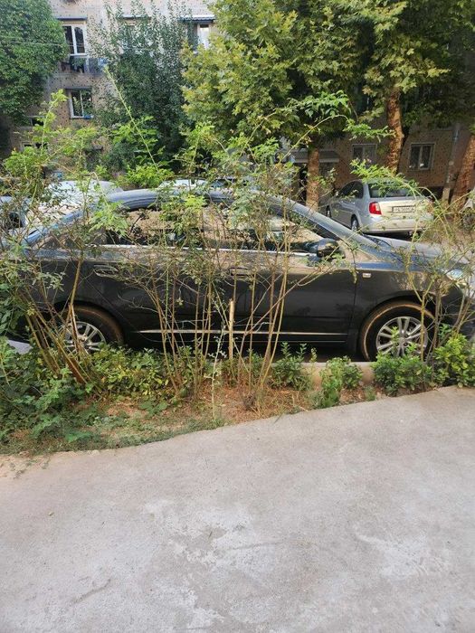 Avtomobil sotladi