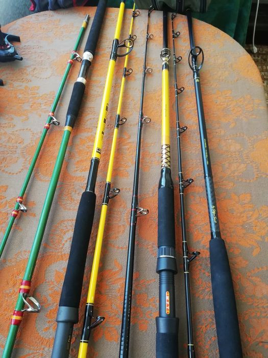 Въдици за сом, Black cat, WFT