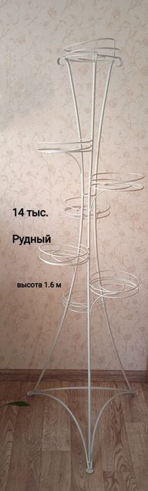 Продам цветы комнатные