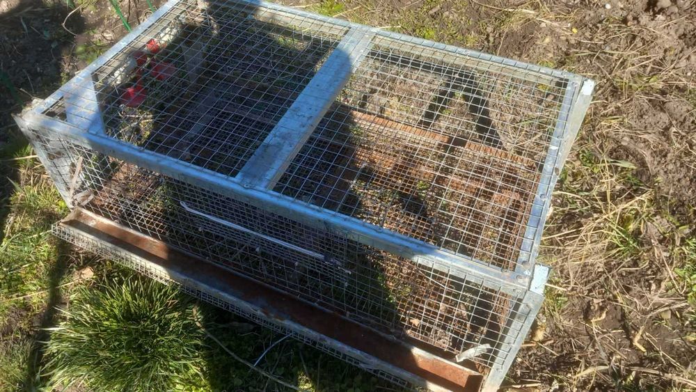 клетки за пъдпъдъци