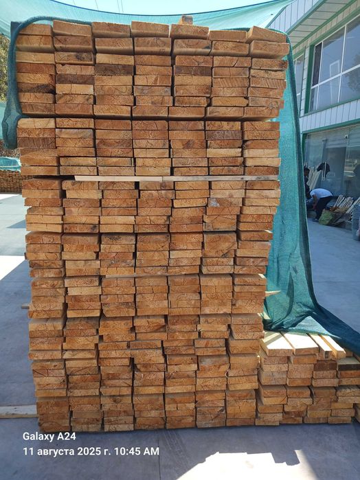 Taxta , Sasna Yog'ochi