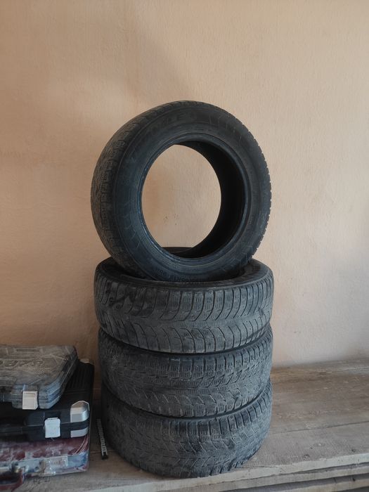 Зимние шины Triangle 195/65R15