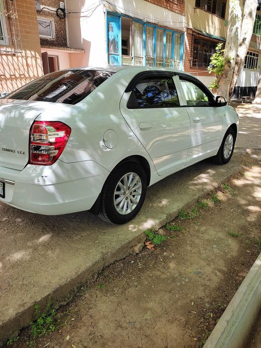 Other Cobalt 2020 — 5