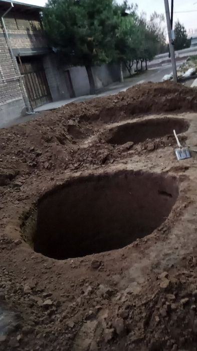 Urachi õrachi tiransha