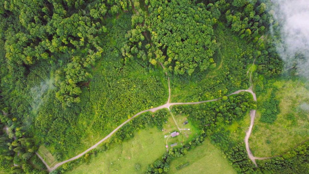 Cabană + 1,1 ha teren în Cacica | 150+ recenzii 5 stele