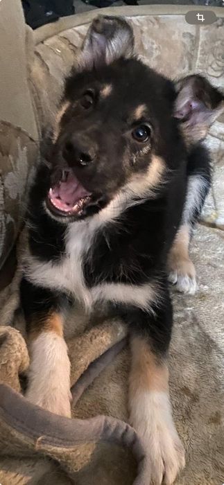 Ищем дом для малыша