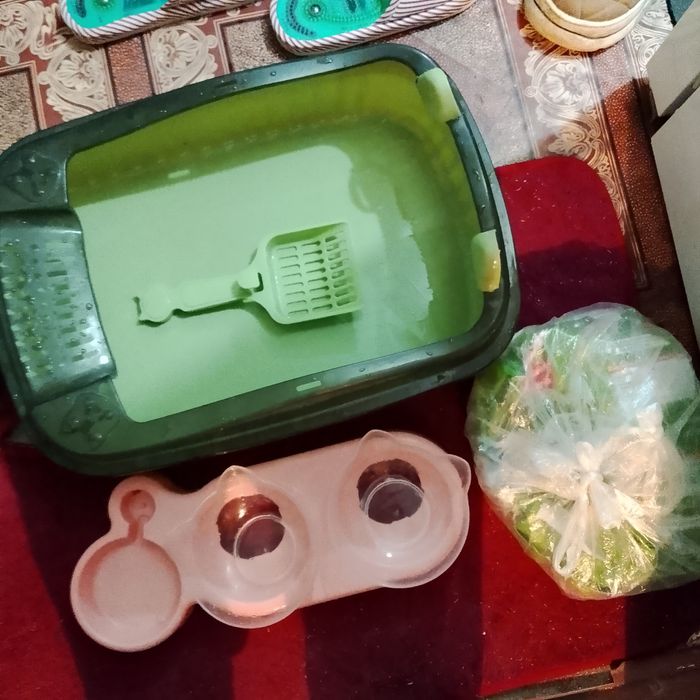 Лоток для животных и пасуда