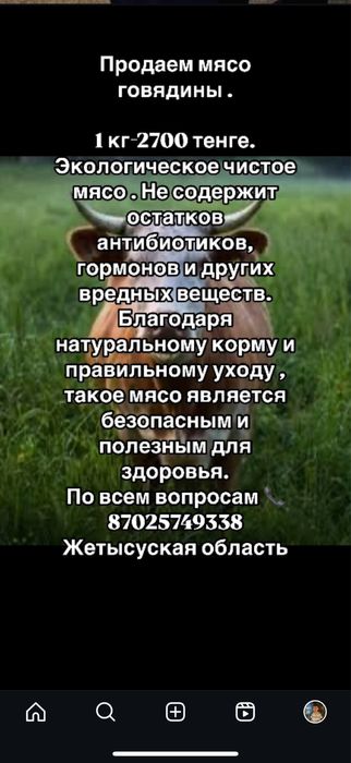 Продам эко мясо говядины