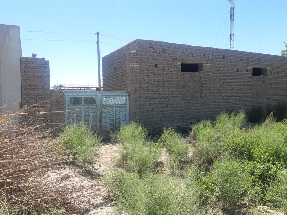 Урганч туманида дурман ж.х жойсатилади