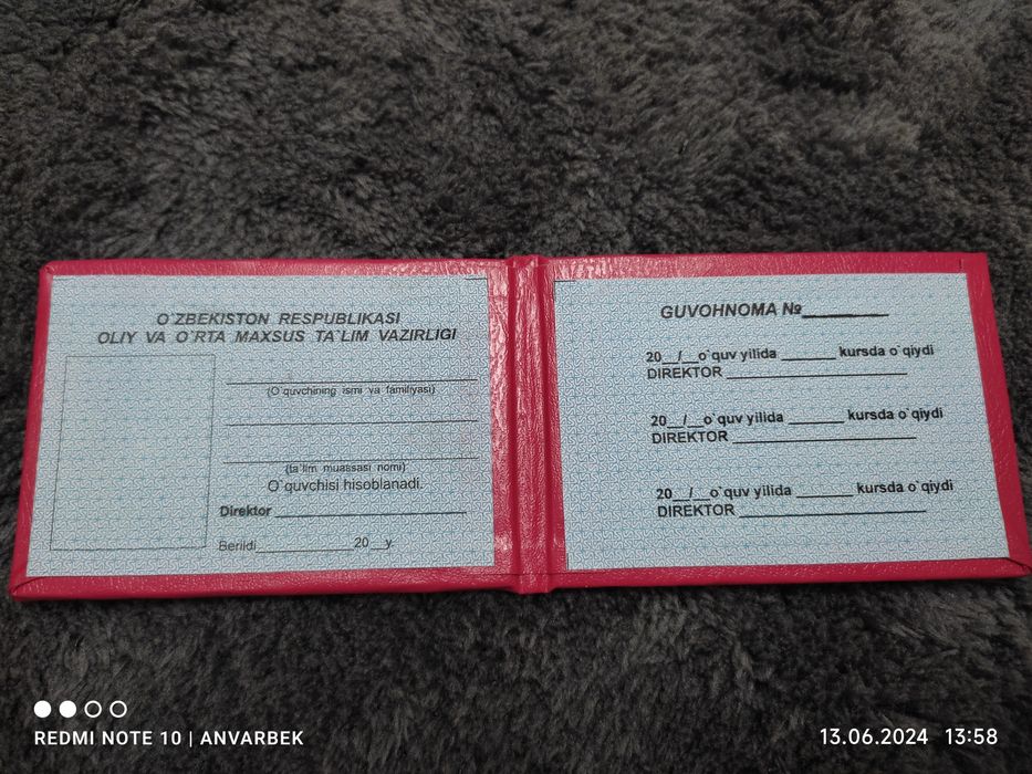 Удостоверение Школьника