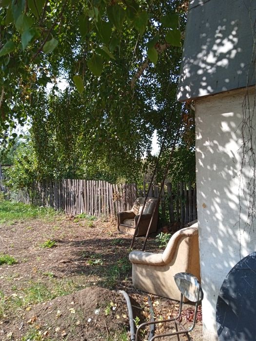 Дача сад Северный