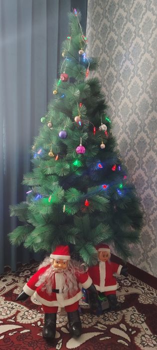 Yangil archasi sotiladi yangi