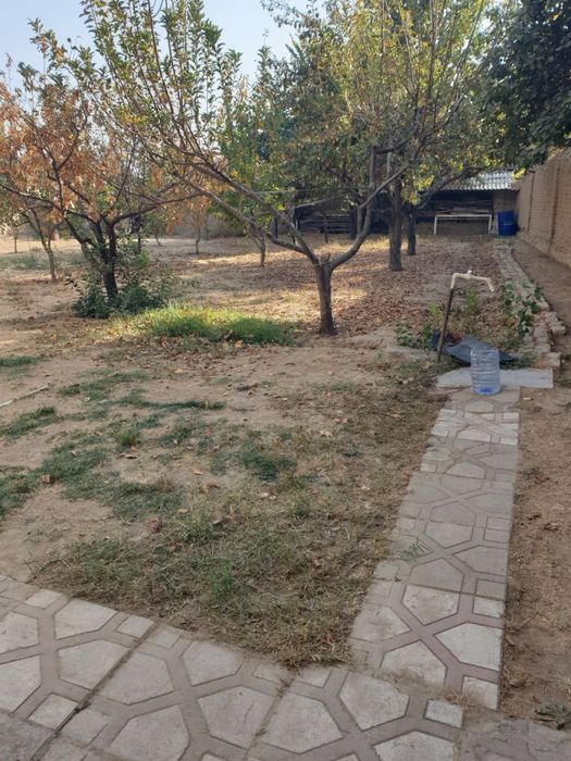 Еш Ленинчи, кичкина иттифок, 8 сотик ховли