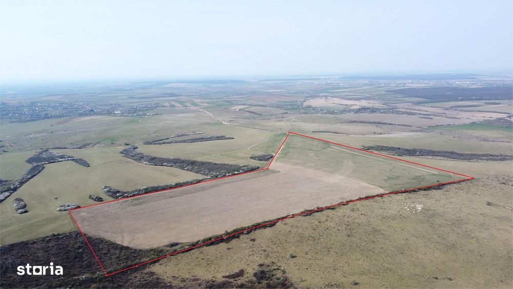 Teren 26.82 ha Ardud | Oportunitate pentru dezvoltare