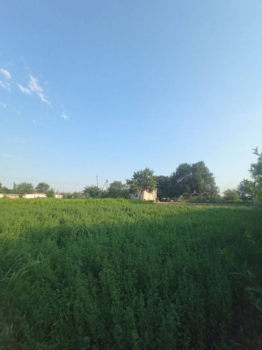 Hamma sharoit bor.Yashashga tayyor hovlili uy