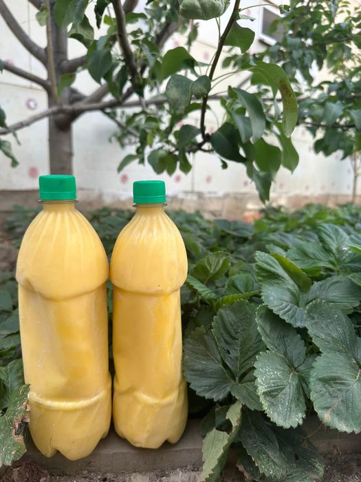 Продается масло и топленка