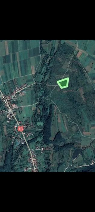 8610 mp teren intravilan Buciumi