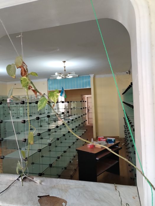 Аптека сдаётся в аренду
