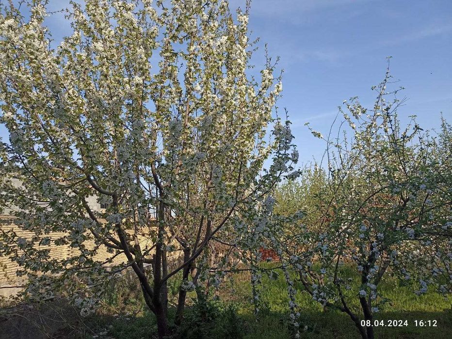 Ховли сотилади 12 сотих Мирпустин кучаси мулжал 9 дамас охирги бекати.