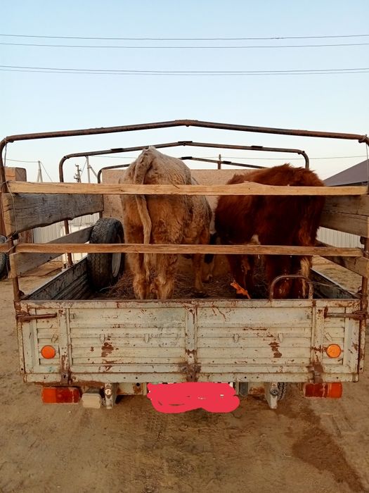 УАЗ Фермер сатылады