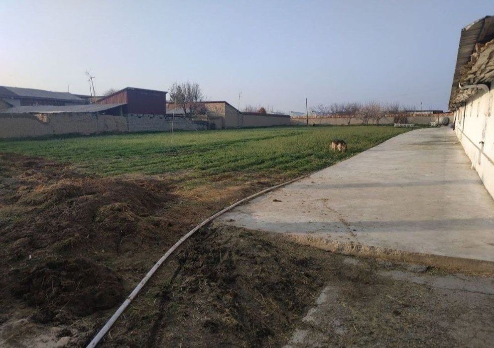 Toshkent tumani Keles Novoi 48 soti joy sotiladi kattej qurishga