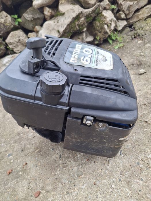 Двигател Briggs Stratton, Бригс Страйшън
