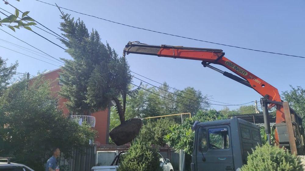 Услуги Манипулятор