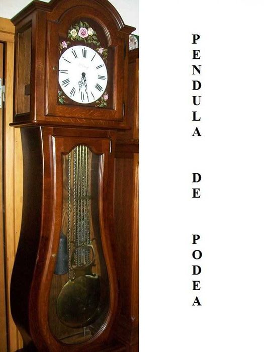 Ceas Pendula de podea - Ste. Cruys - Franța