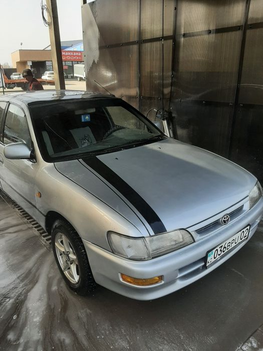 Пппнекаре в России в