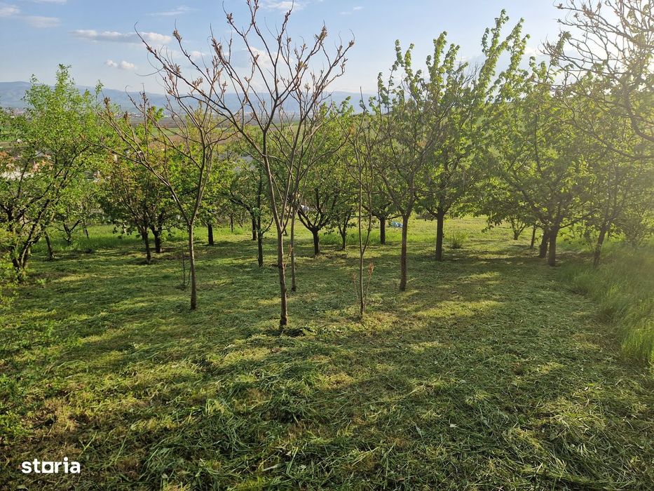 Teren intravilan 1250 mp cu priveliște superbă - Sura Mare