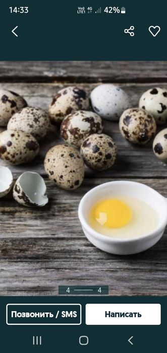 Яица  перепелов свежие