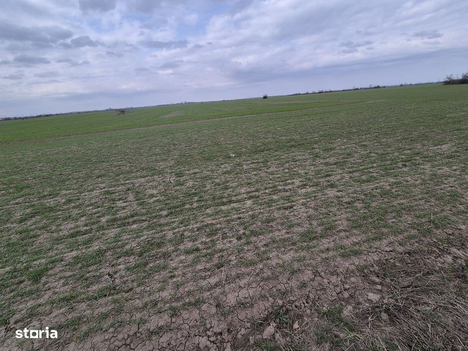Vanzare teren intravilan 13.852mp, zona depozite Domnesti