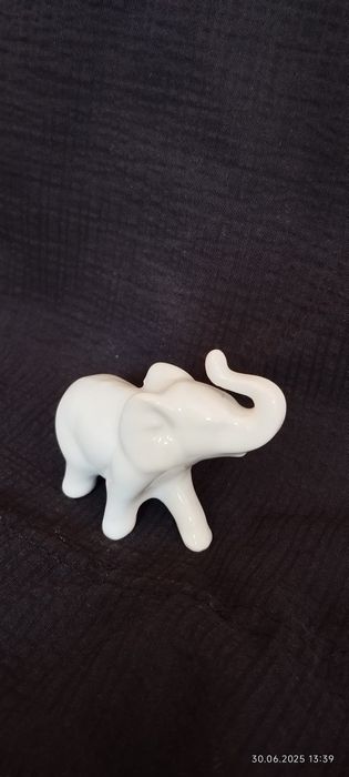 За любителите на слончета