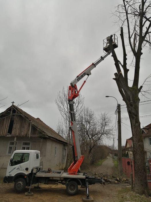 Toaletari arbori , taieri copaci periculosi , defriseri cu Nacela