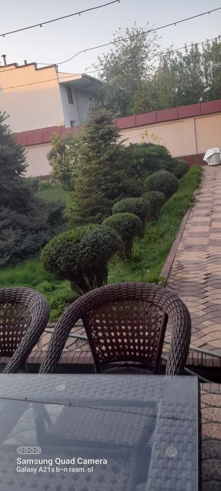 Gazon ekish,gullar ekish,bog' tomorqa ishlari